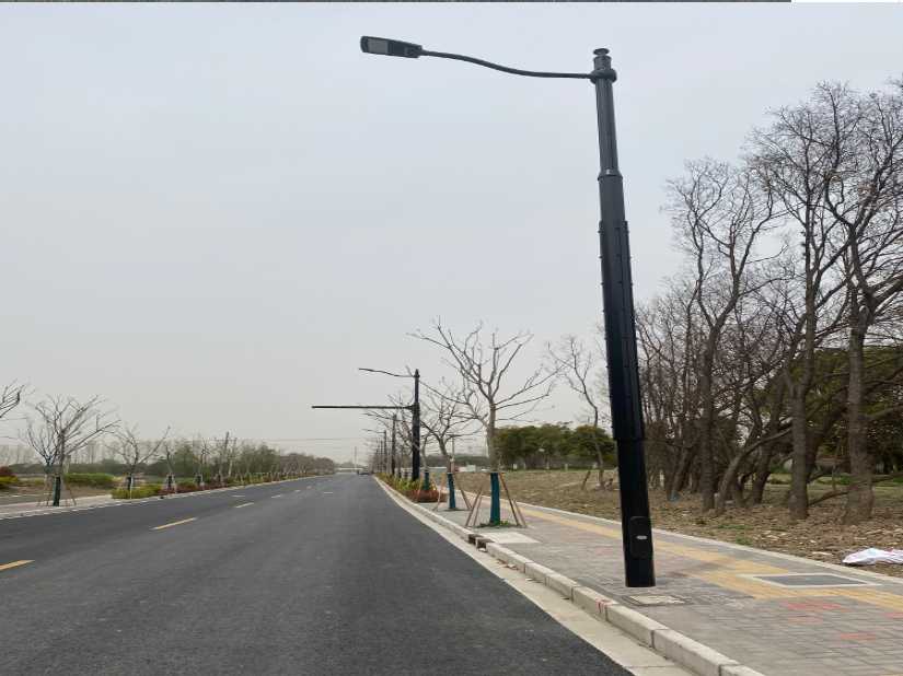 岳塘区上海综合杆 太阳能路灯工程